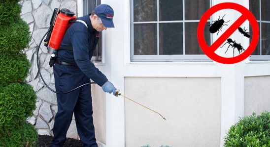 Hekimhan Böcek İlaçlama böcek ilaçlama ve haşere kontrolü — ilaclama-tr.com